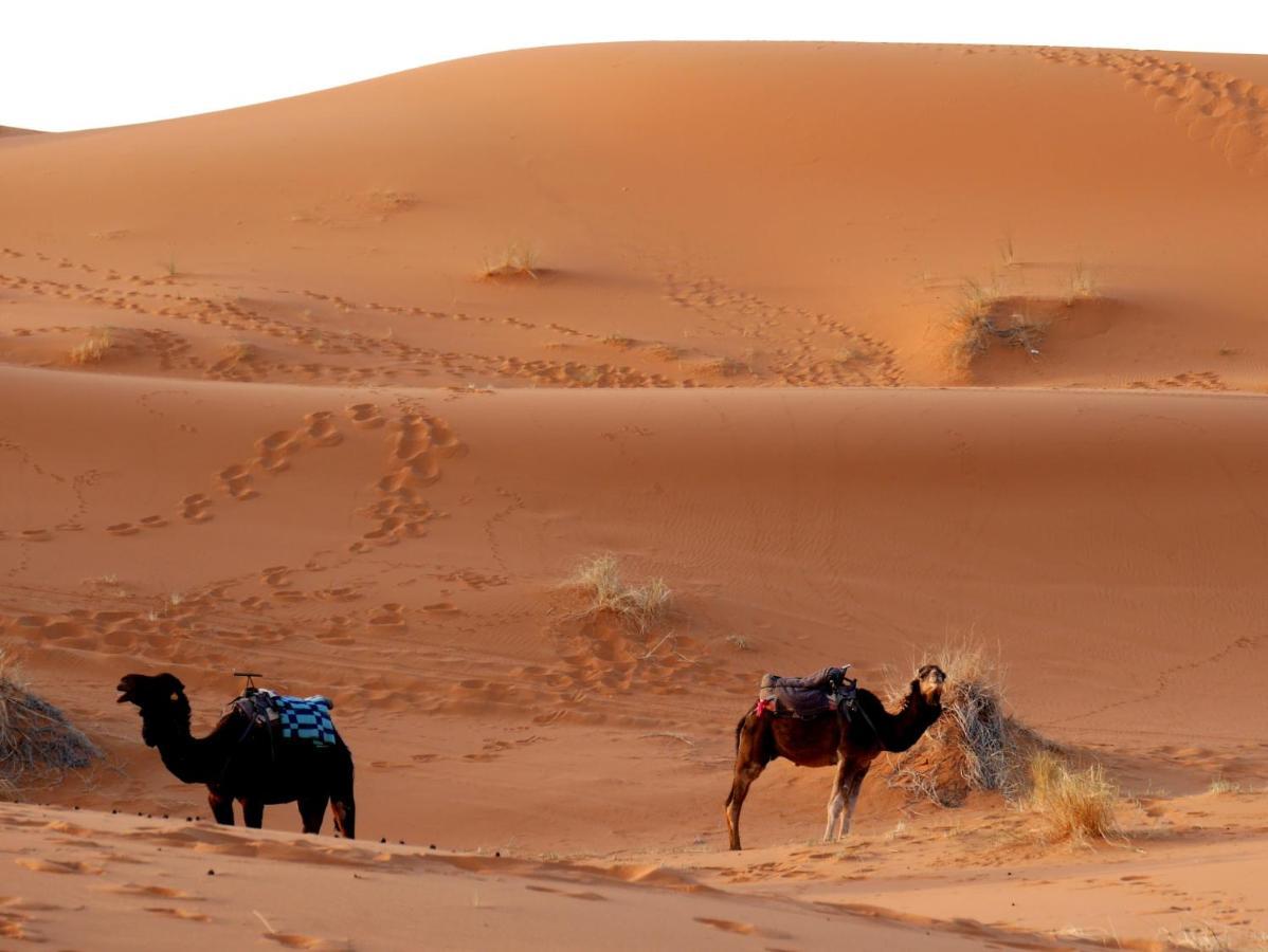 La Vallee Des Dunes - Auberge, Bivouacs Et Excursions Bed & Breakfast Merzouga Exterior foto