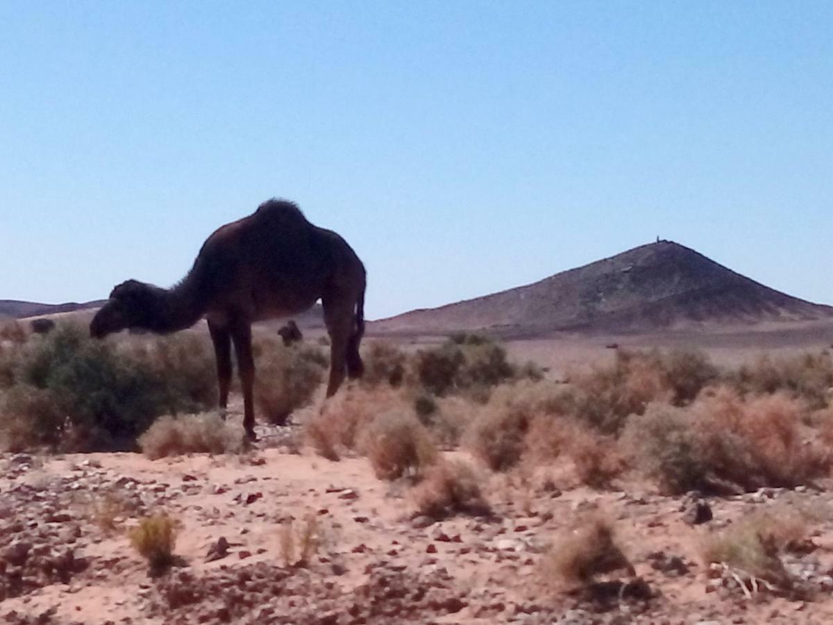 La Vallee Des Dunes - Auberge, Bivouacs Et Excursions Bed & Breakfast Merzouga Exterior foto