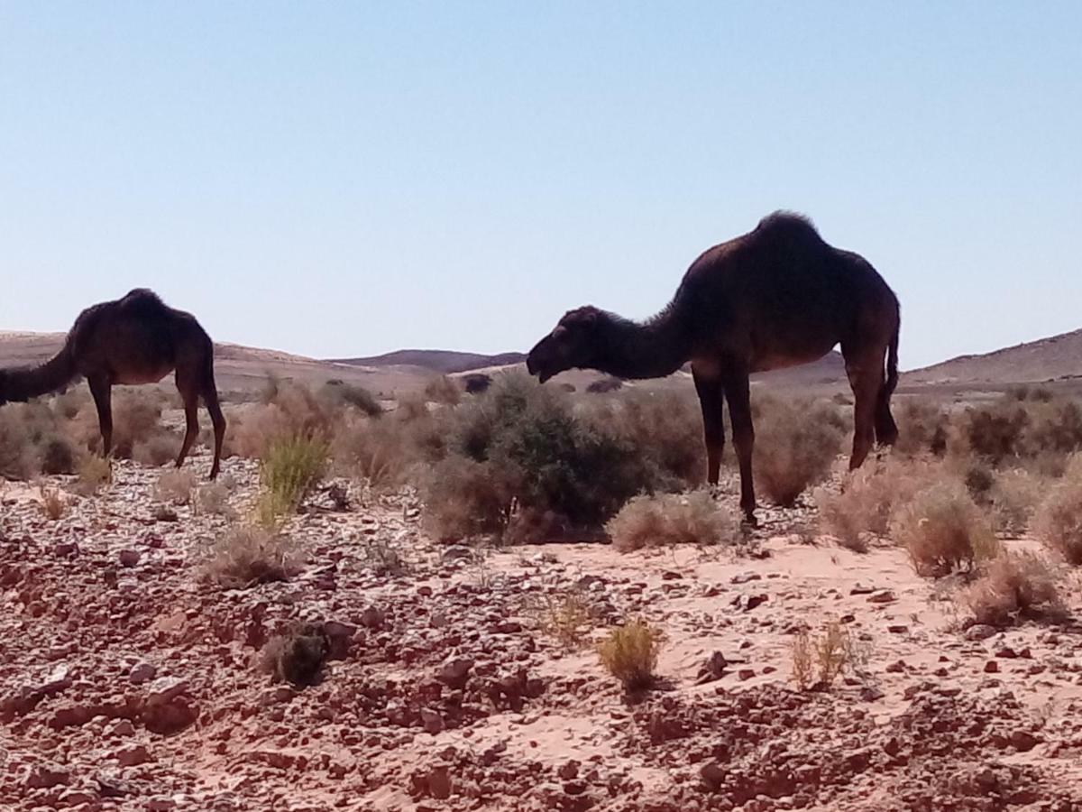 La Vallee Des Dunes - Auberge, Bivouacs Et Excursions Bed & Breakfast Merzouga Exterior foto